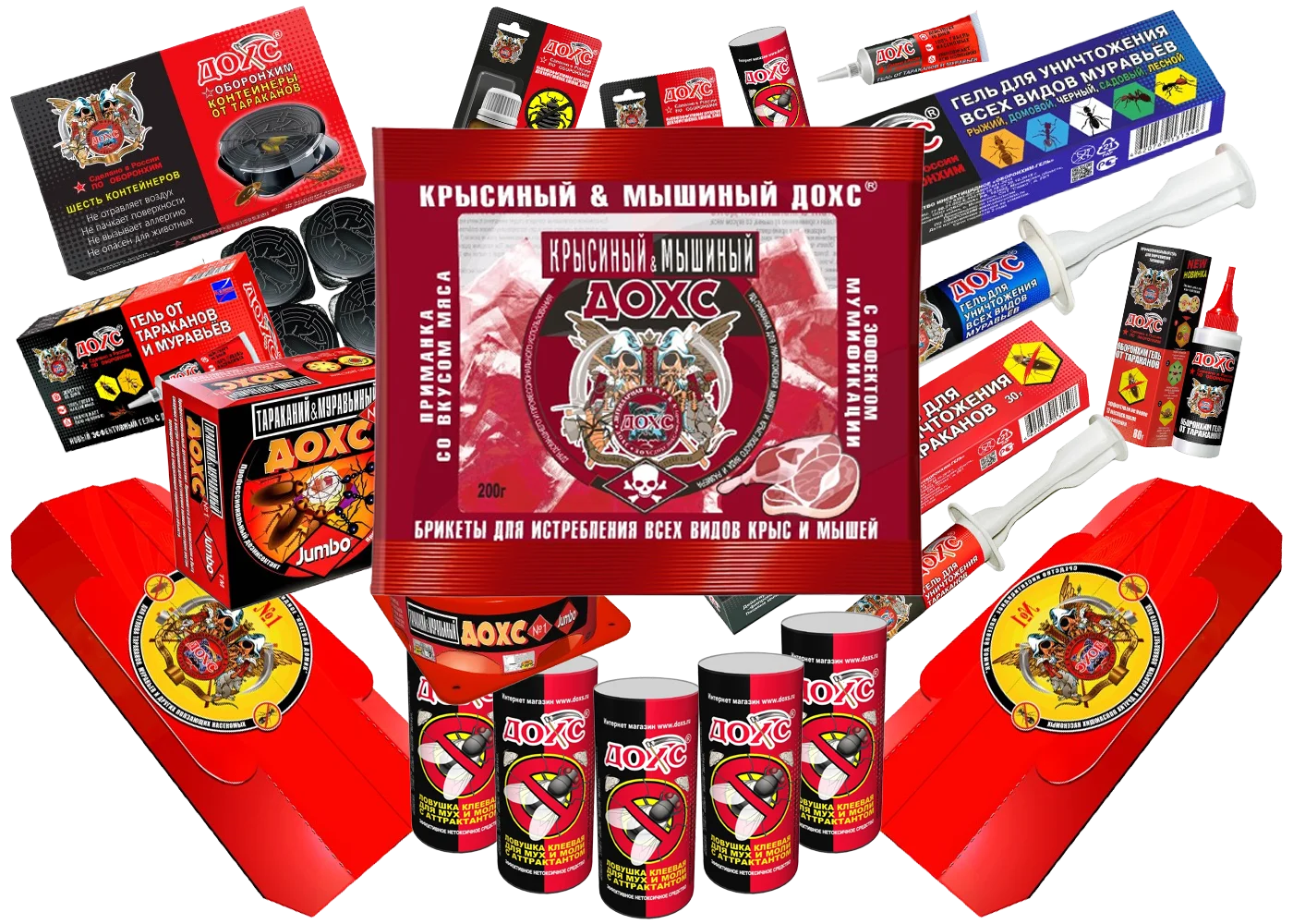 Catalog